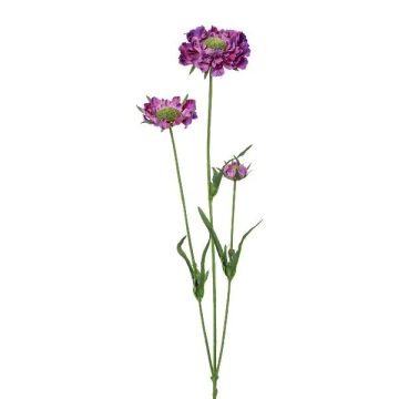 Ramo decorativo scabiosa ATLENTO, viola, 65 cm Ramo decorativo scabiosa ATLENTO, viola, 65 cm