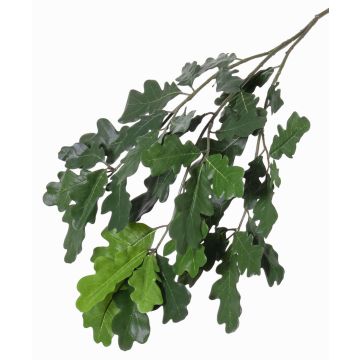 Ramo di quercia decorativo KALLI, crossdoor, 70cm Ramo di quercia decorativo KALLI, crossdoor, 70cm