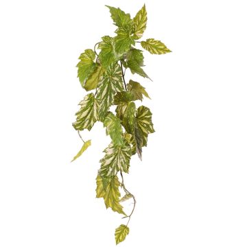 Pianta artificiale Begonia palmata OANFIR, bastoncino, pendente, verde, 90 cm