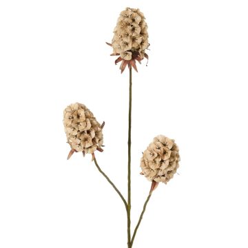 Ramo artificiale di garofano MARDUEN, beige, 75 cm, Ø 5 cm Ramo artificiale di garofano MARDUEN, beige, 75 cm, Ø 5 cm