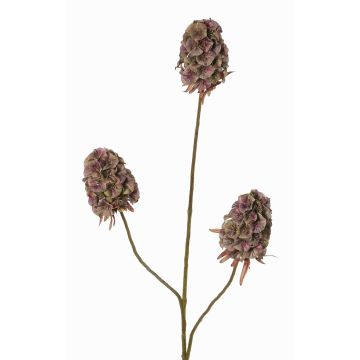Ramo artificiale di garofano MARDUEN, verde-rosa, 75cm, Ø5cm Ramo artificiale di garofano MARDUEN, verde-rosa, 75cm, Ø5cm