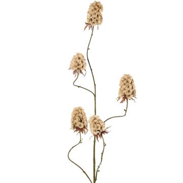 Ramo artificiale di garofano MARDUEN, beige, 115 cm, Ø 5 cm Ramo artificiale di garofano MARDUEN, beige, 115 cm, Ø 5 cm