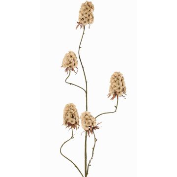 Ramo artificiale di garofano MARDUEN, beige, 115cm, Ø5cm Ramo artificiale di garofano MARDUEN, beige, 115cm, Ø5cm