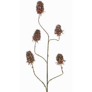 Ramo artificiale garofano MARDUEN, verde-rosa, 115cm, Ø5cm Ramo artificiale garofano MARDUEN, verde-rosa, 115cm, Ø5cm