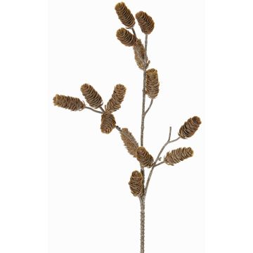 Ramo di abete decorativo LONGIH con pigne, marrone-bianco, 75cm