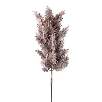 Ramo decorativo erba della pampa PANCHE con pannocchia, melanzana, 90 cm