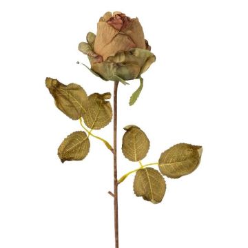 Fiore artificiale rosa GROLK, effetto secco, verde-marrone, 45cm, Ø6cm Fiore artificiale rosa GROLK, effetto secco, verde-marrone, 45cm, Ø6cm