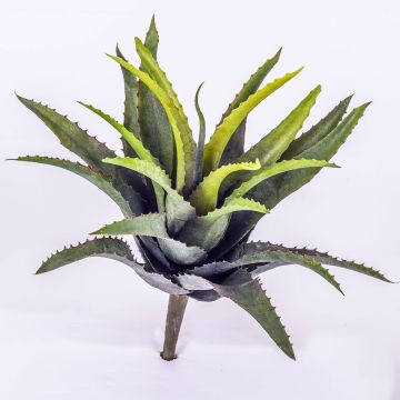 Agave finto SEDA, su stelo, verde, 25cm, Ø25cm Agave finto SEDA, su stelo, verde, 25cm, Ø25cm