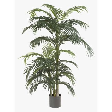 Palma di areca sintetica CAMYRA, 170cm