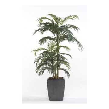 Palma di areca sintetica CAMYRA, 170cm