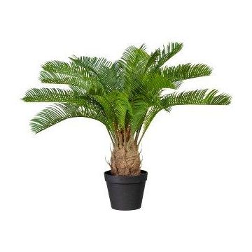 Palma artificiale Cycas ZULEY in vaso decorativo, 60 cm