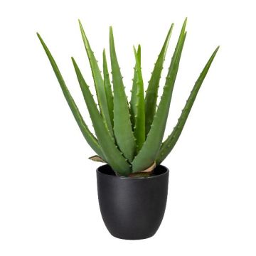 Aloe vera artificiale KRONFA in vaso decorativo, verde, 35 cm Aloe vera artificiale KRONFA in vaso decorativo, verde, 35 cm