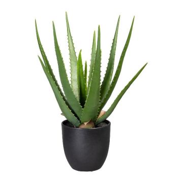 Pianta succulenta artificiale Aloe Vera KRONFA in vaso decorativo, verde, 45 cm