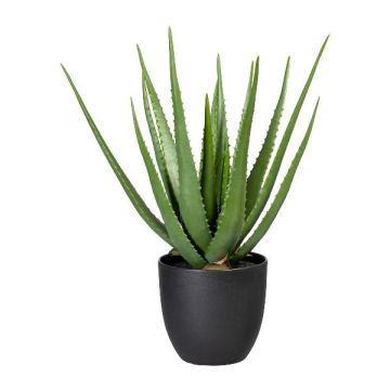 Pianta succulenta artificiale Aloe Vera KRONFA in vaso decorativo, verde, 55 cm