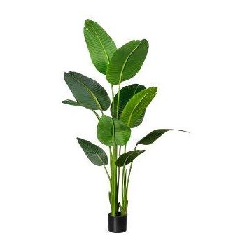 Pianta artificiale Strelitzia DREVORA, verde, 160 cm