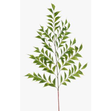 Foglia decorativa palma coda di pesce MAXIN, 130 cm