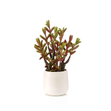 Pianta succulenta artificiale Sedum reflexum CYVAST in vaso decorativo, verde-rosso, 27 cm