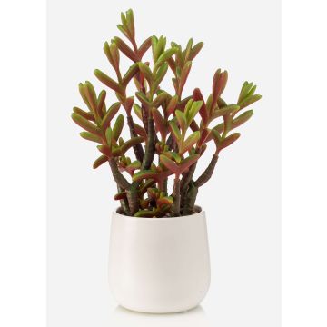 Pianta succulenta artificiale Sedum reflexum NORSHO in vaso decorativo, verde-rosso, 27 cm