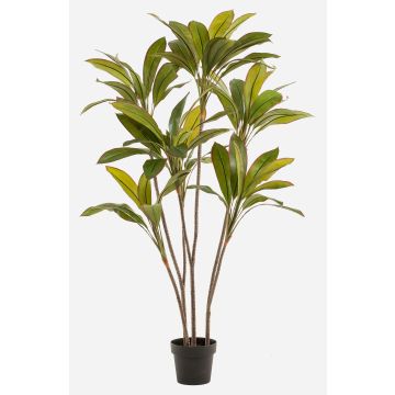 Pianta artificiale Cordyline MEIKE, tronchi artificiali, vaso decorativo, verde, 160 cm