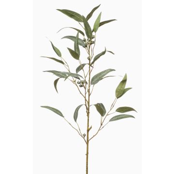 Ramo artificiale Eucalipto JURKA con frutti, verde-grigio, 90 cm