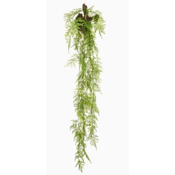 Pianta artificiale pendente Asparagus Plumosus SHALLON su ramo, verde, 150 cm Pianta artificiale pendente Asparagus Plumosus SHALLON su ramo, verde, 150 cm