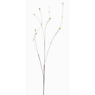 Ramo decorativo betulla EMROLS, verde, 130 cm