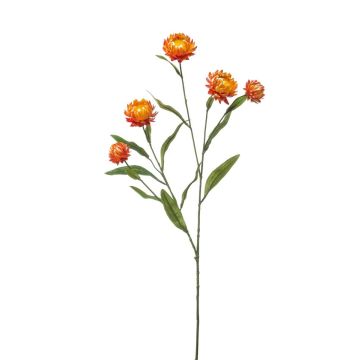 Ramo decorativo fiore di paglia SNAVIK, arancione, 70 cm