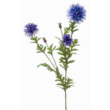 Ramo decorativo fiordaliso BROLIX, azzurro, 100 cm