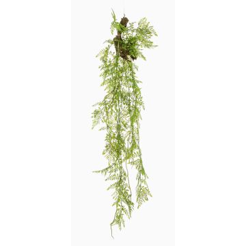 Pianta artificiale pendente Asparagus Plumosus SHALLON su ramo, verde, 110cm