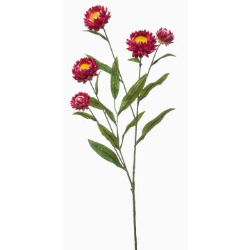 Ramo decorativo fiore di paglia SNAVIK, rosa, 70 cm