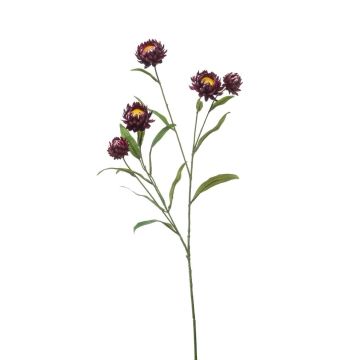 Ramo decorativo fiore di paglia SNAVIK, viola, 70 cm