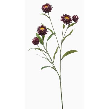 Ramo decorativo fiore di paglia SNAVIK, viola, 70 cm Ramo decorativo fiore di paglia SNAVIK, viola, 70 cm