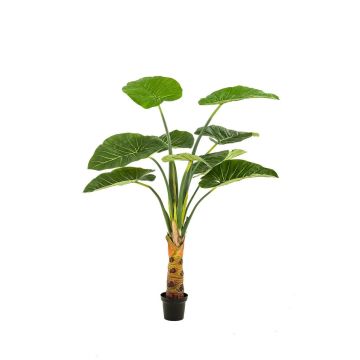 Pianta artificiale Alocasia Calidora NICAS, vaso decorativo, verde, 160 cm