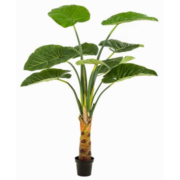 Pianta artificiale Alocasia Calidora NICAS, vaso decorativo, verde, 160 cm