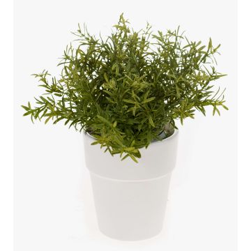 Rosmarino finto JOSHUA, in vaso di ceramica , verde, 23cm, Ø17cm Rosmarino finto JOSHUA, in vaso di ceramica , verde, 23cm, Ø17cm