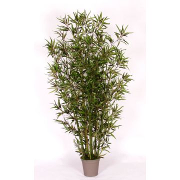 Bambù decorativo HILDEMARA, canne di bambù naturali, crossdoor, 200 cm - Made in Italy