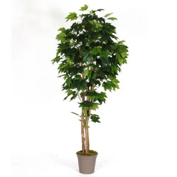 Albero decorativo acero SLAWA, tronchi naturali, verde, 200 cm - Made in Italy