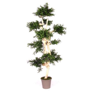Albero artificiale acacia BOHDAN con tronco naturale, crossdoor, verde, 185 cm - Made in Italy