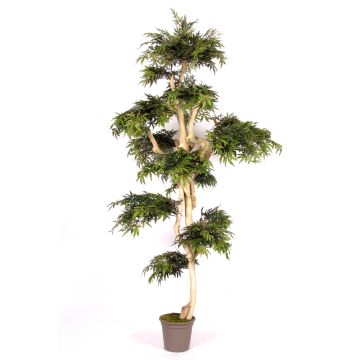 Albero decorativo Acero giapponese AFANAS, tronchi naturali, verde-rosso, 250 cm - Made in Italy