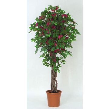 Bougainvillea artificiale INGTRAUD, tronchi reali, fiori, rosa, 175 cm - Made in Italy