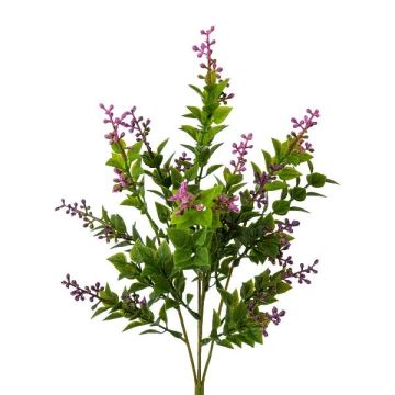 Erba artificiale pungitopo LASTAS su bastoncino, con frutti, verde-lilla, 35 cm Erba artificiale pungitopo LASTAS su bastoncino, con frutti, verde-lilla, 35 cm