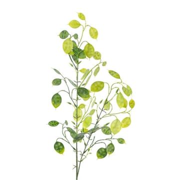 Ramo artificiale foglia d'argento DRULMI, verde, 75 cm