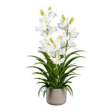 Fiore artificiale orchidea Cymbidium CANFOL, vaso in melamina, radici, bianco, 70 cm Fiore artificiale orchidea Cymbidium CANFOL, vaso in melamina, radici, bianco, 70 cm