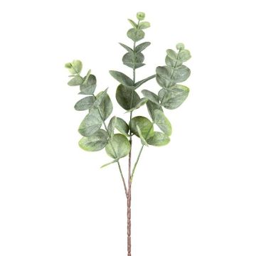 Ramo artificiale eucalipto BLIFER, grigio-verde, 50 cm Ramo artificiale eucalipto BLIFER, grigio-verde, 50 cm