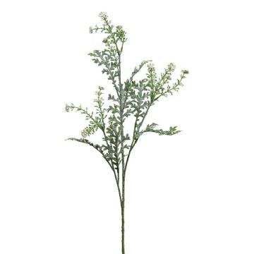 Ramo decorativo senecione argentato KRANVE con fiori, grigio-verde, 60 cm