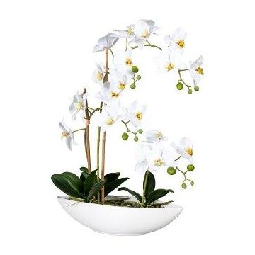 Orchidea artificiale Phalaenopsis JELTRON, vaso in ceramica, radici, bianco, 60 cm