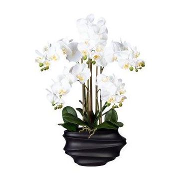 Orchidea Phalaenopsis artificiale ZALBROK, vaso decorativo nero, radici, bianco, 75 cm Orchidea Phalaenopsis artificiale ZALBROK, vaso decorativo nero, radici, bianco, 75 cm