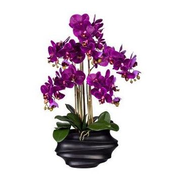 Orchidea Phalaenopsis artificiale ZALBROK, vaso decorativo nero, radici, lilla, 75cm Orchidea Phalaenopsis artificiale ZALBROK, vaso decorativo nero, radici, lilla, 75cm