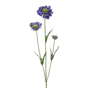 Ramo decorativo scabiosa ATLENTO, lilla, 65 cm Ramo decorativo scabiosa ATLENTO, lilla, 65 cm