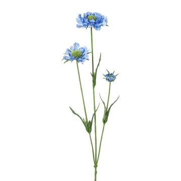 Ramo decorativo scabiosa ATLENTO, blu, 65 cm Ramo decorativo scabiosa ATLENTO, blu, 65 cm